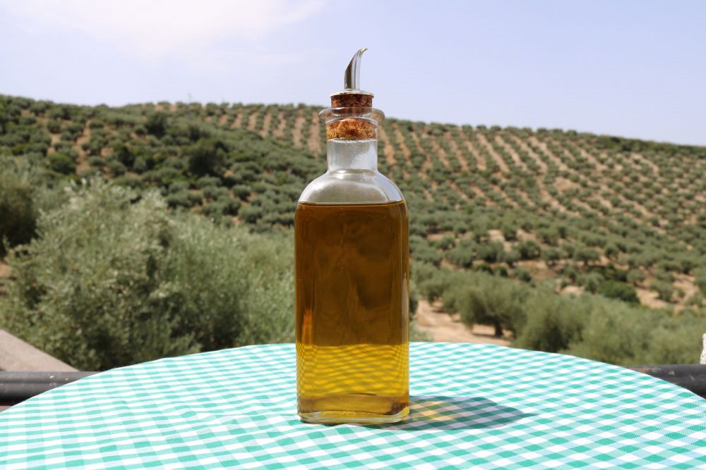 aceite oliva fondo aceitunas 62951 15