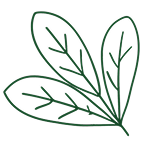 ramas 1