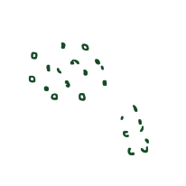 semillas 1